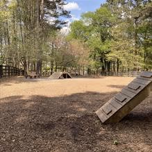 Waggy World Paw Park at Wills Park photo 2